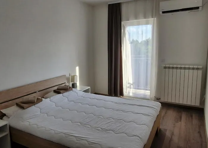 Banjica Stan 203 * Belgrado